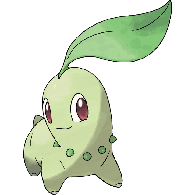 Chikorita