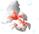 goldeen