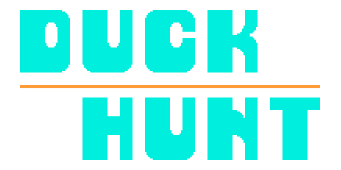 Duck Hunt