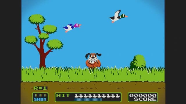 Duck Hunt